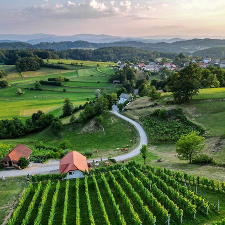 Vineyard Cottage Krivic Trebelno Экстерьер фото
