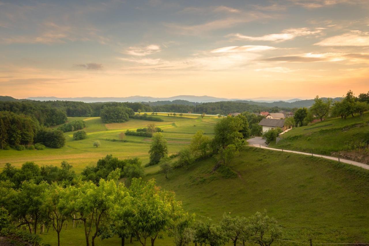 Vineyard Cottage Krivic Trebelno Экстерьер фото