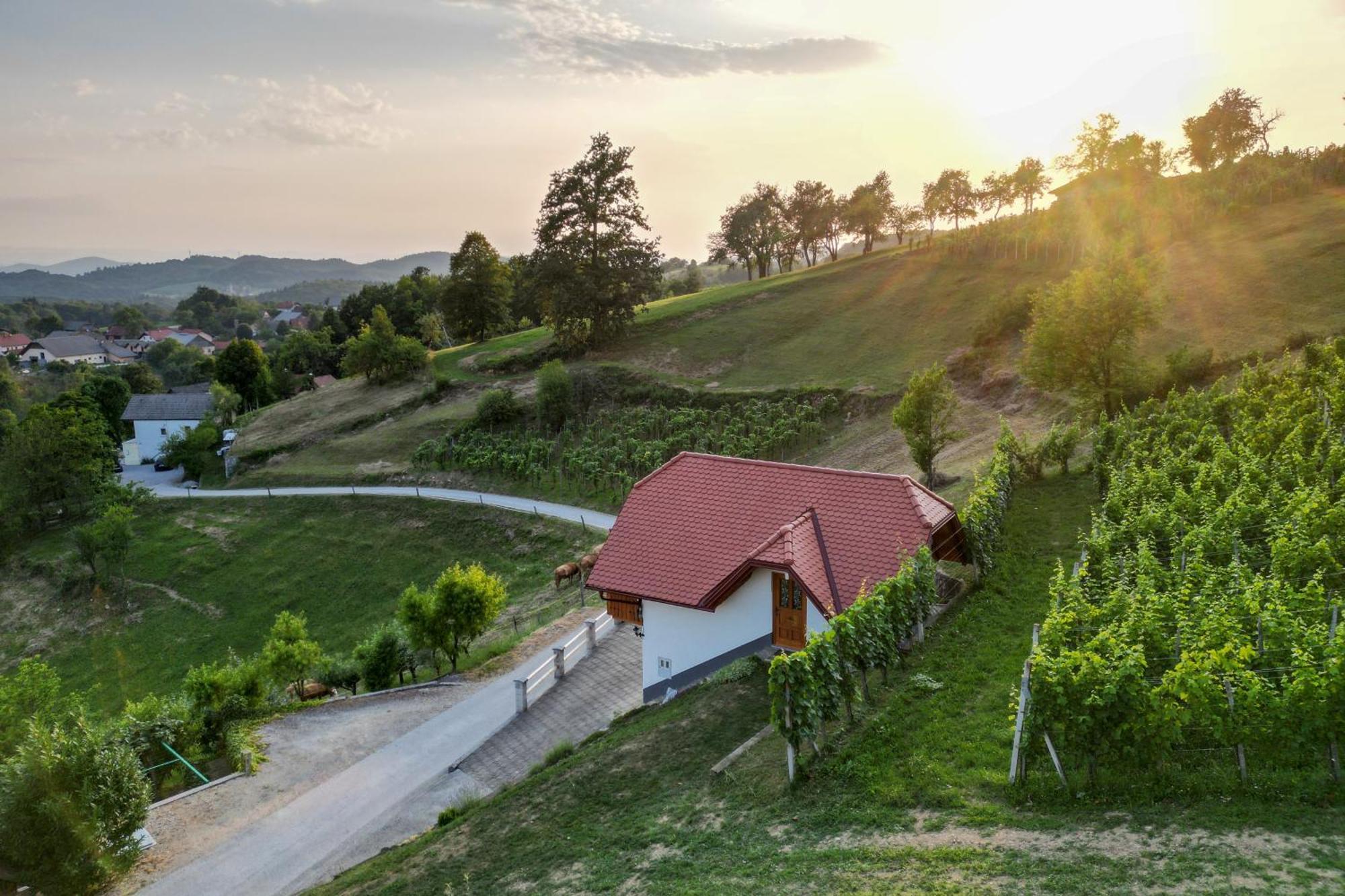 Vineyard Cottage Krivic Trebelno Экстерьер фото