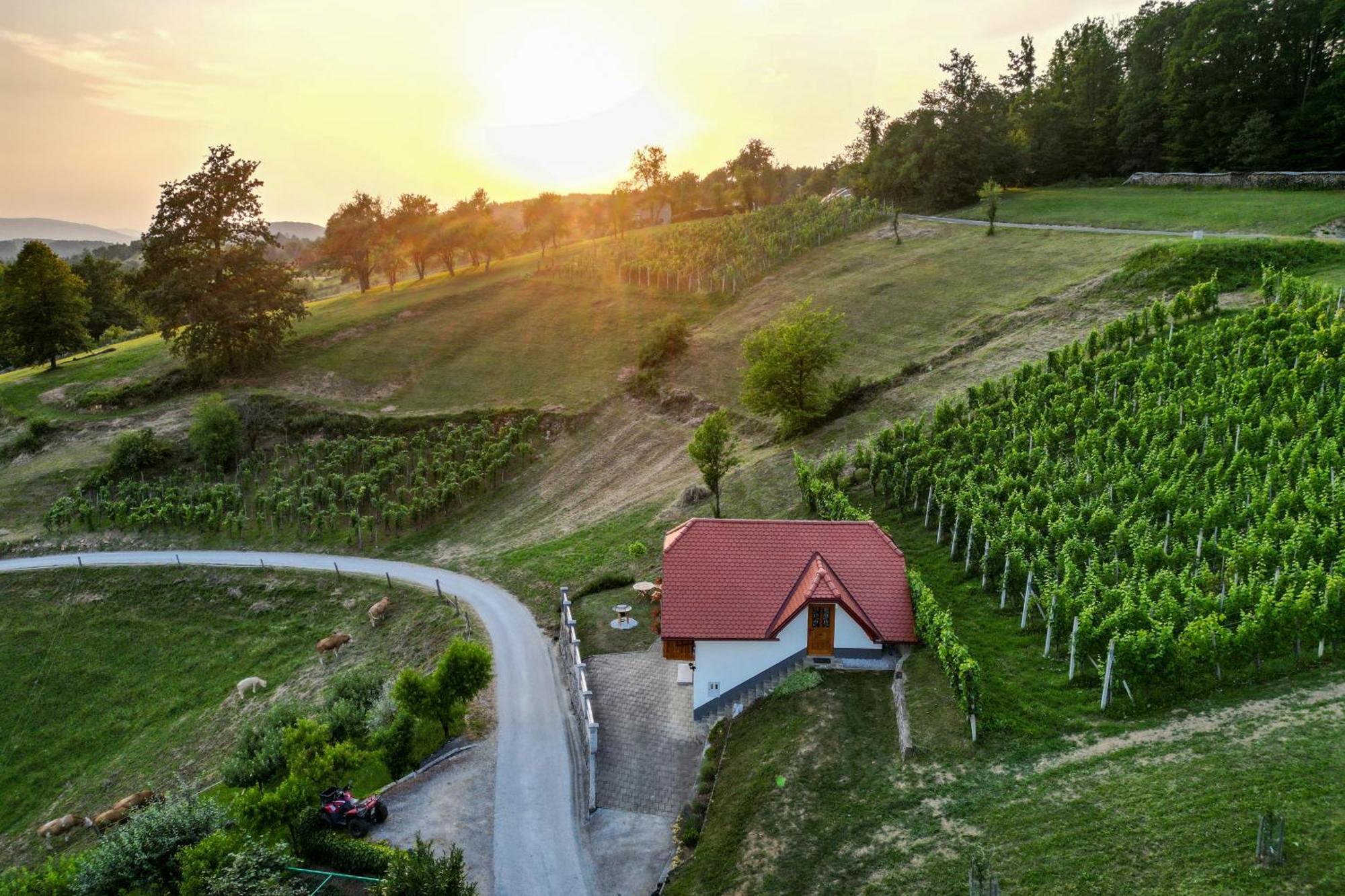 Vineyard Cottage Krivic Trebelno Экстерьер фото