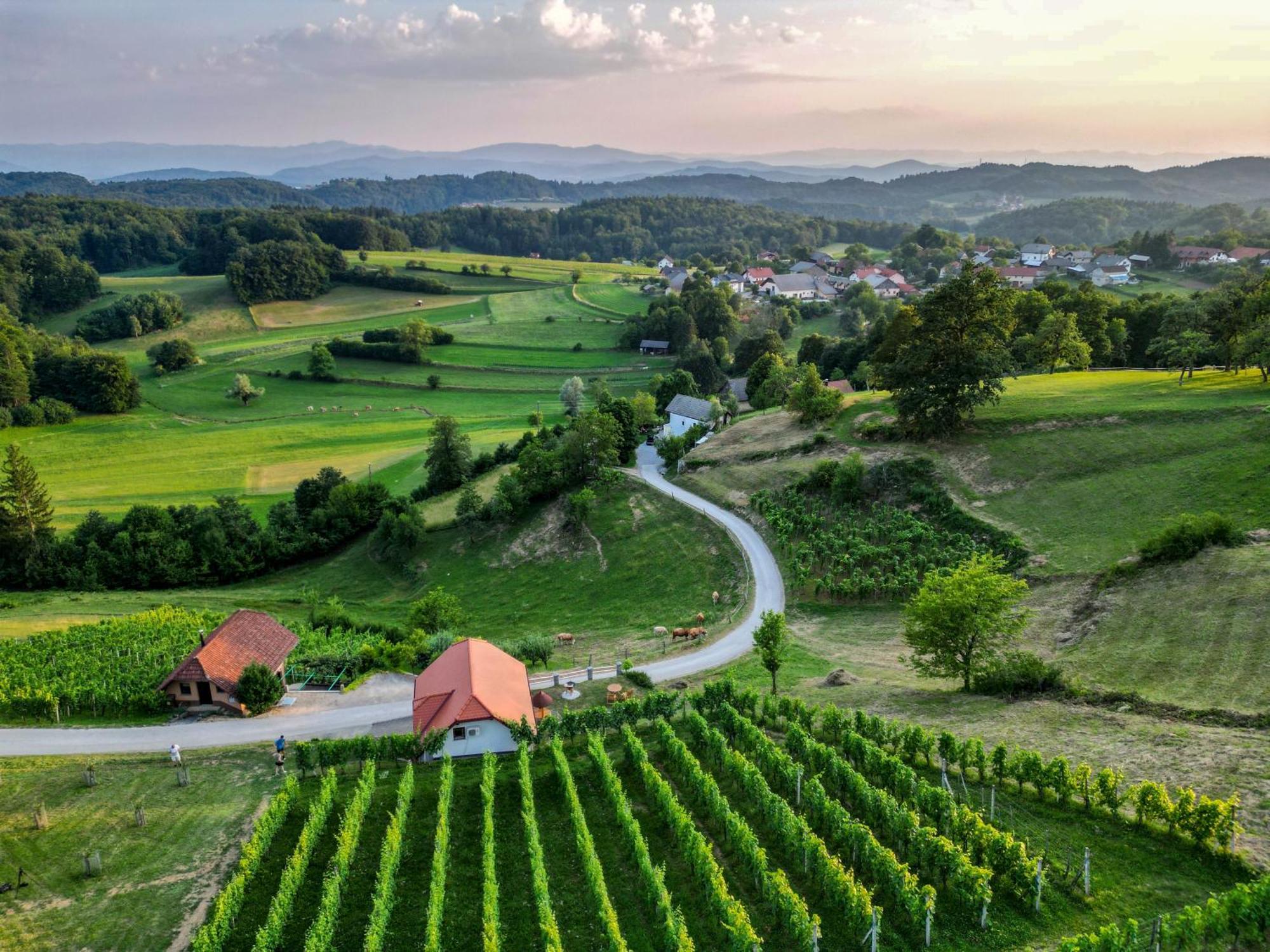 Vineyard Cottage Krivic Trebelno Экстерьер фото